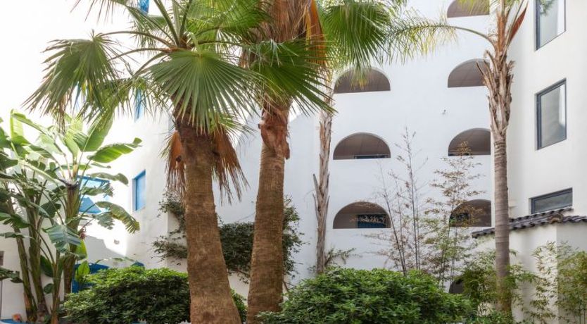 Photo of Perla Blanca