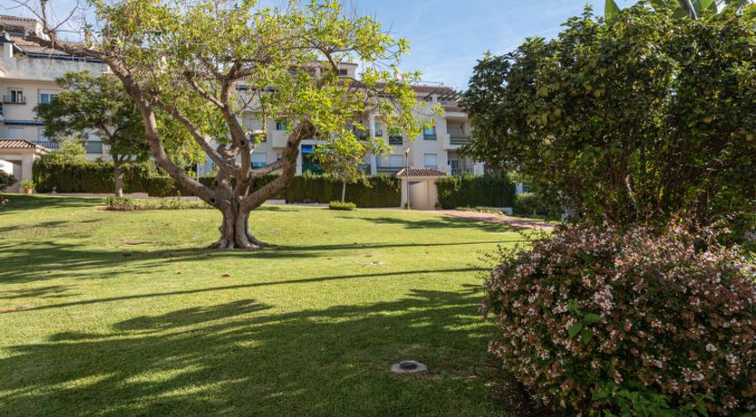 Photo of Lorcrimar III Apartment 2