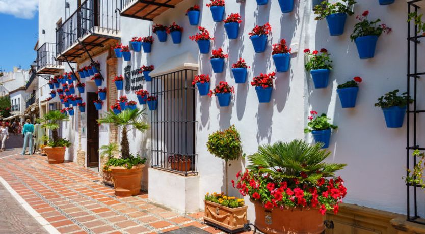 Photo of Alvarito Playa Apartment 3