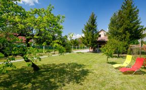 Photo of Pear Trees