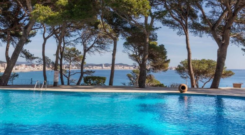 Photo of isabelle Apartment 2