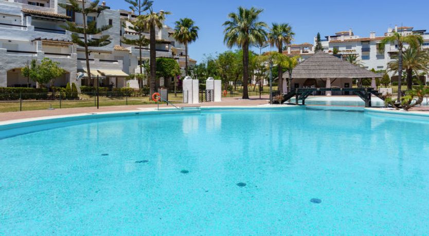 Photo of Las Adelfas