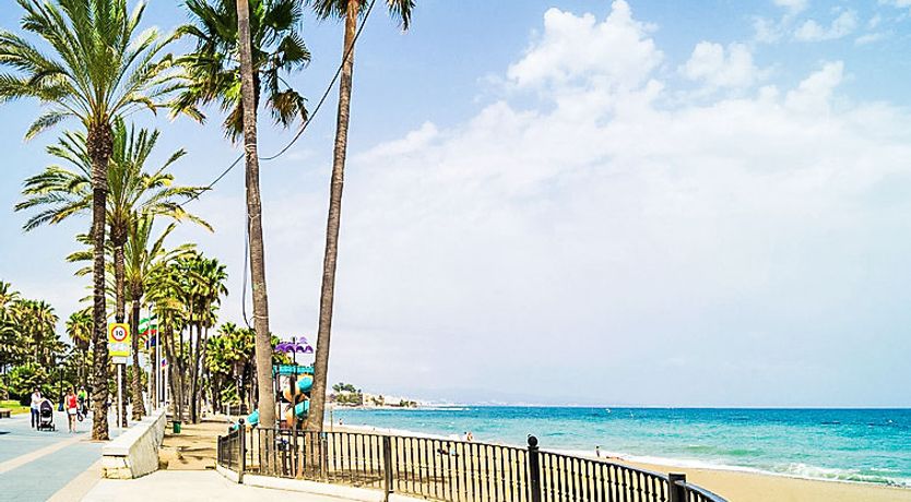 Photo of Las Adelfas