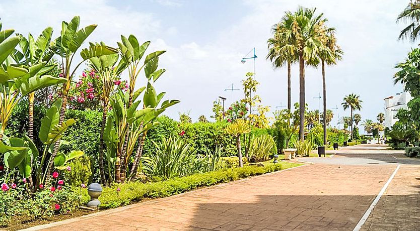 Photo of Las Adelfas