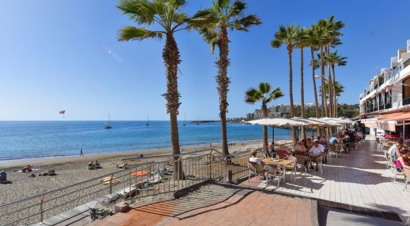 Photo of Los Canarios 629 - Adults Only