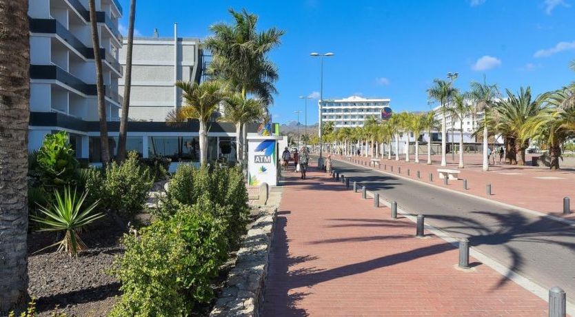 Photo of Broncemar 519