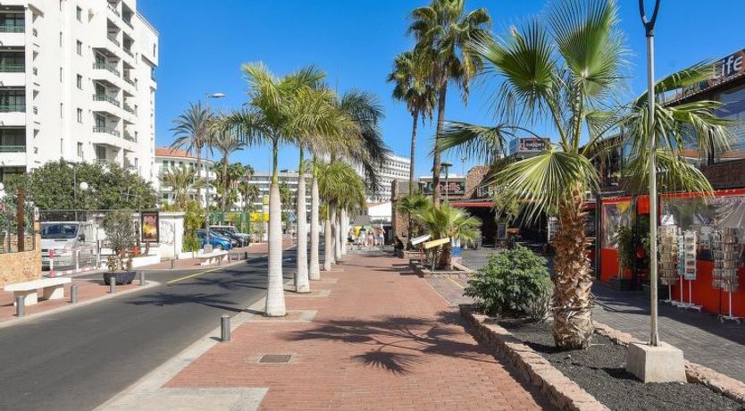 Photo of Broncemar 519