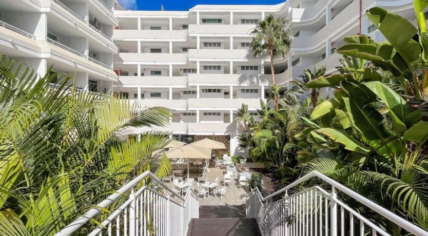 Photo of Broncemar 519