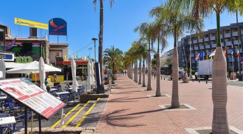 Photo of Broncemar 519