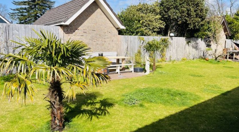 Photo of Arthouse Lola & Luna