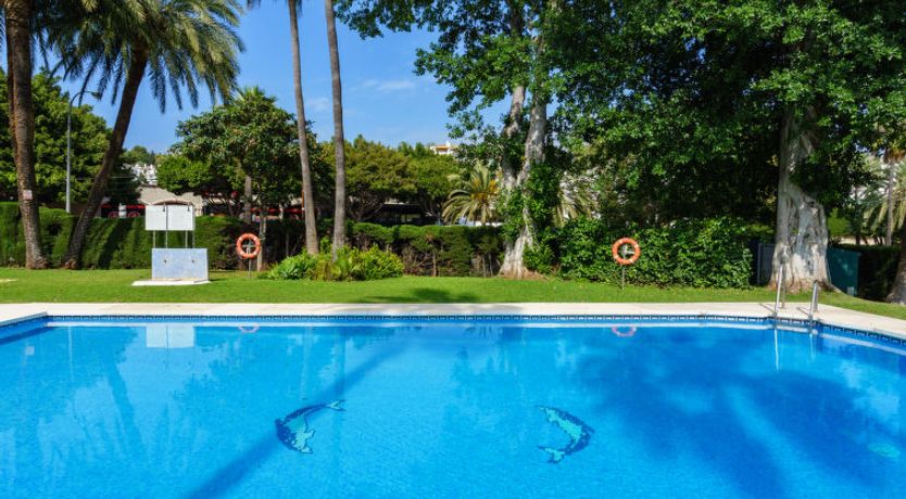 Photo of Esencia de jazmin