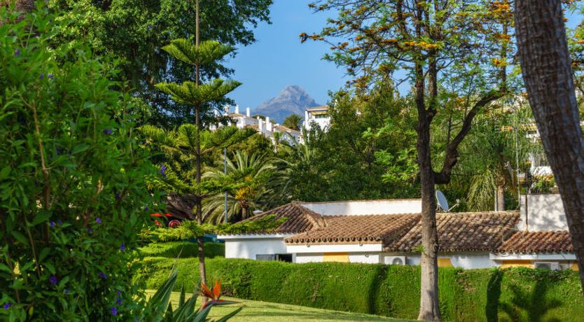 Photo of Esencia de jazmin