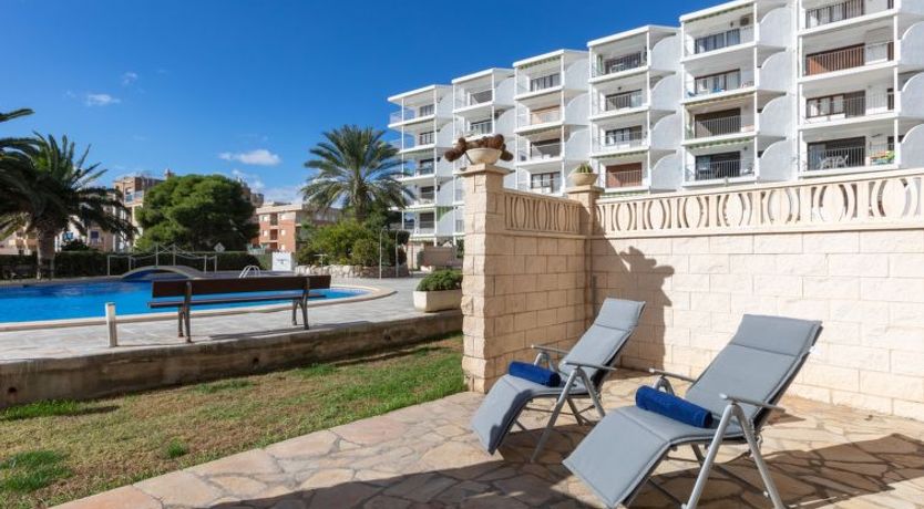 Photo of Las Mimosas