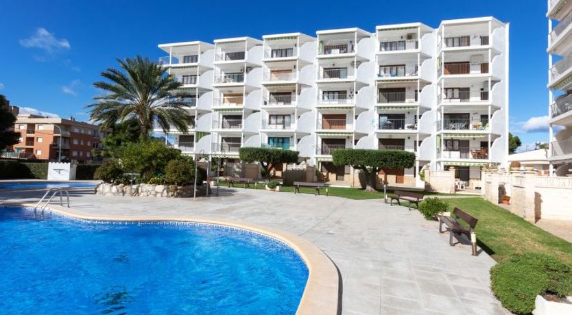 Photo of Las Mimosas