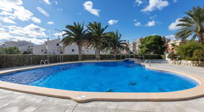 Photo of Las Mimosas