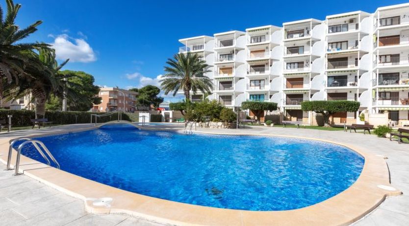 Photo of Las Mimosas