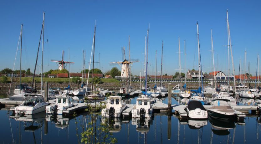 Photo of Ruisweg 51 Apartment 5