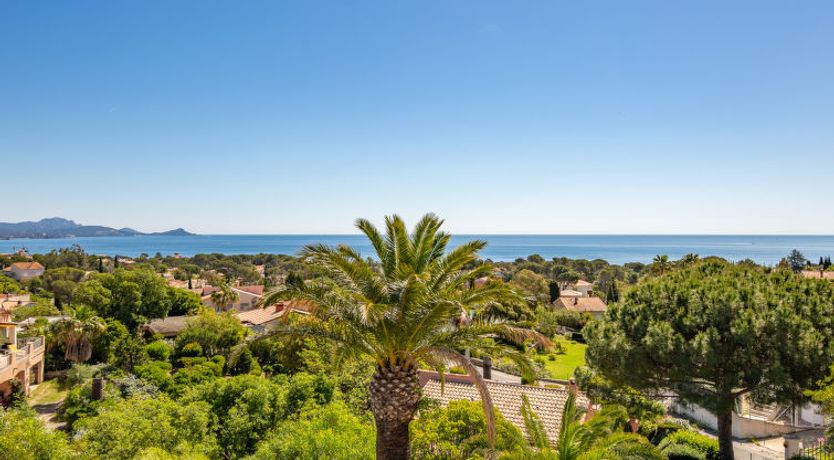 Photo of Les Rêves Bleus