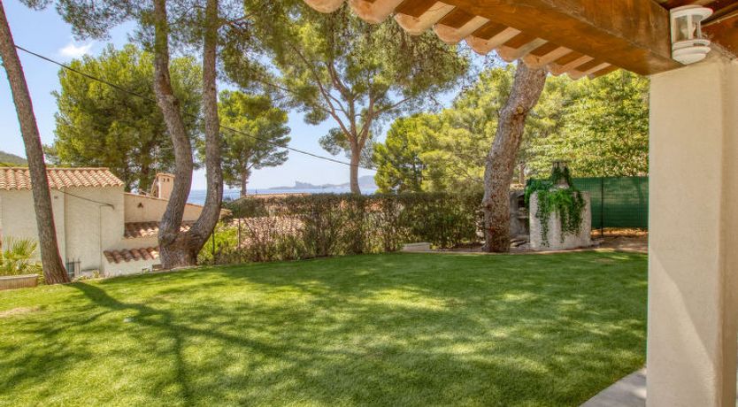 Photo of le grand Pin