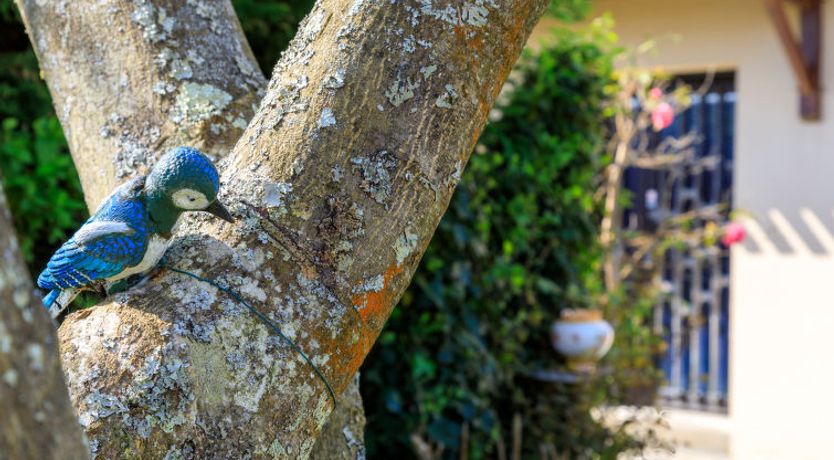 Photo of L'Oiseau Bleu