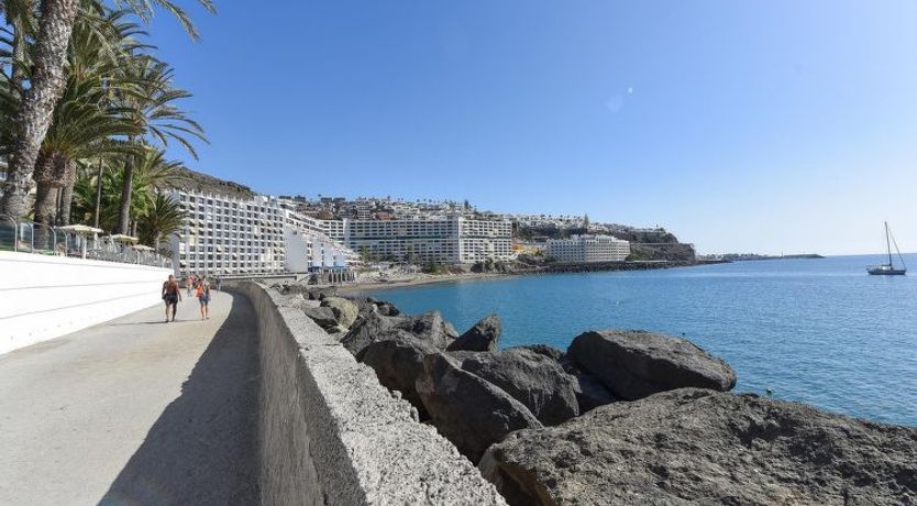 Photo of Los Canarios 122