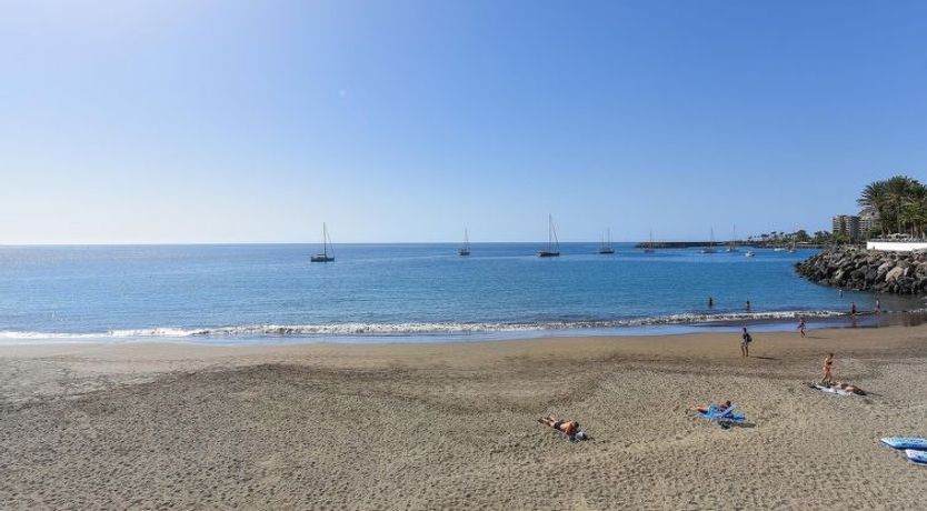 Photo of Los Canarios 122