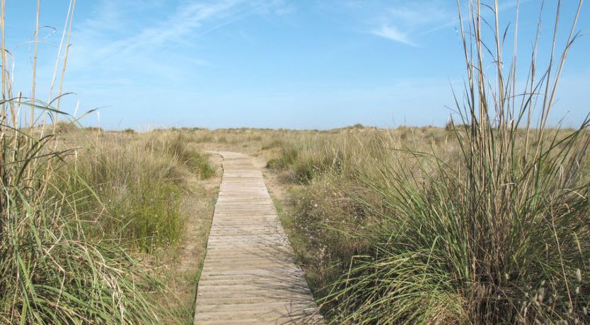 Photo of Loft Villalonga