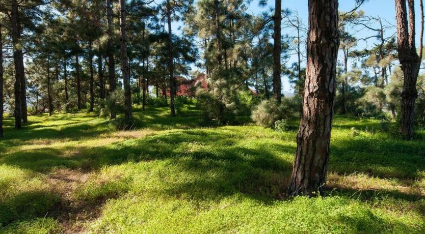 Photo of Villa in Bandama