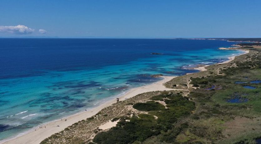 Photo of Son Bou Gardens 3 dorm