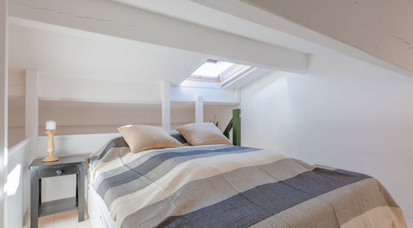 Photo of Les Mimosas