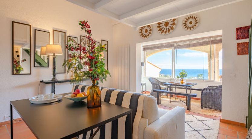 Photo of Les Mimosas