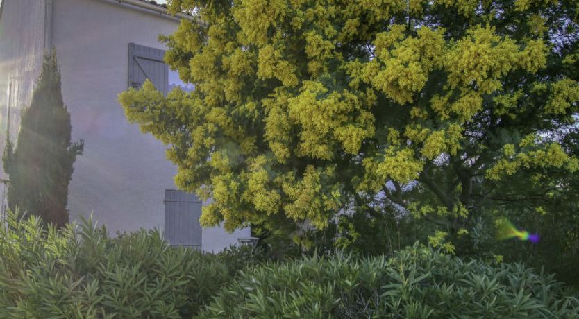 Photo of Terre Marine Apartment 2