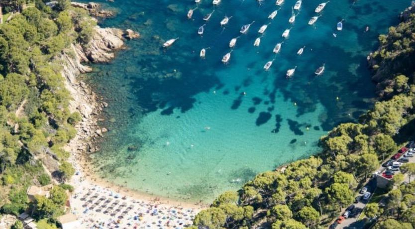 Photo of Sa Riera White on the Beach