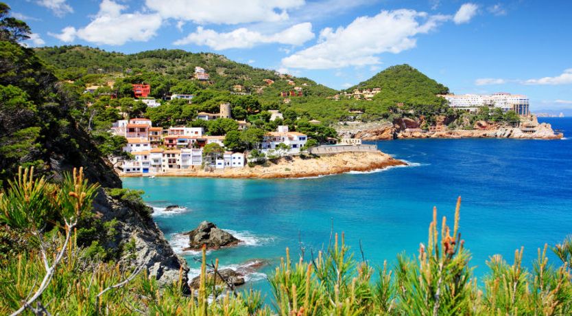 Photo of Sa Riera White on the Beach