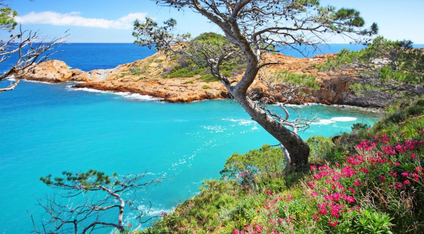 Photo of Sa Riera White on the Beach