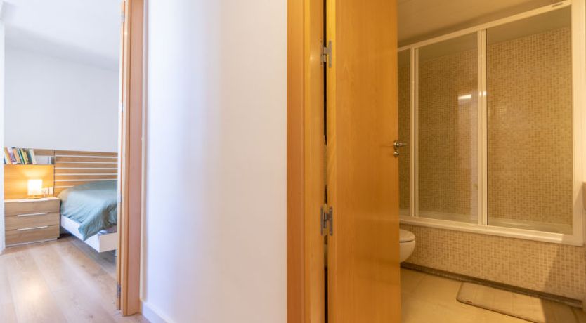 Photo of Palmera dels Munts