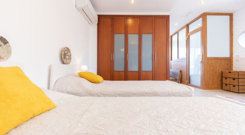 Photo of Palmera dels Munts