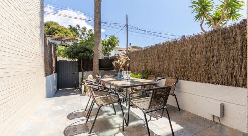 Photo of Palmera dels Munts