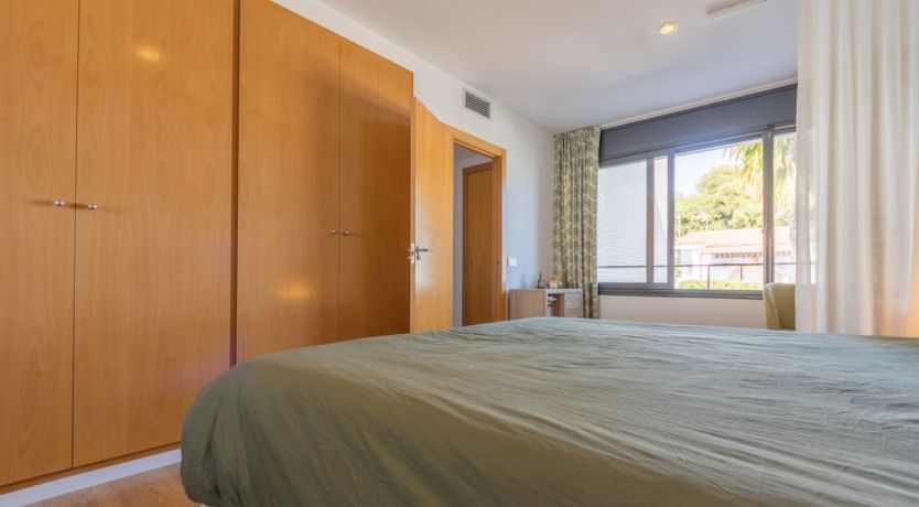 Photo of Palmera dels Munts