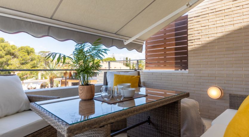 Photo of Palmera dels Munts