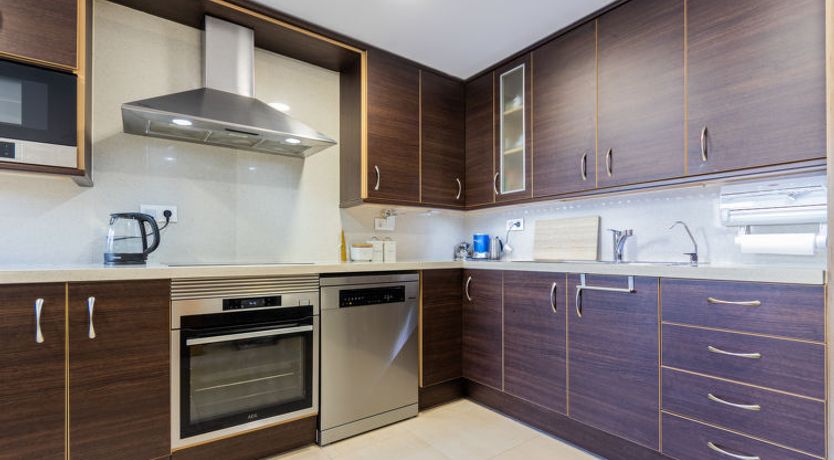 Photo of Palmera dels Munts