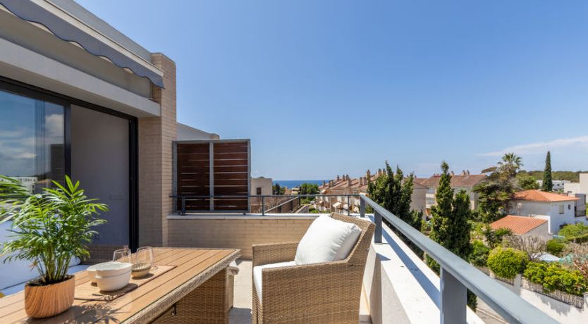 Photo of Palmera dels Munts