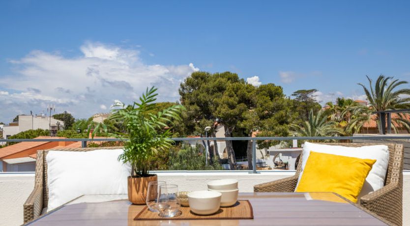 Photo of Palmera dels Munts