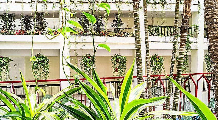 Photo of Benalbeach Apartment 7