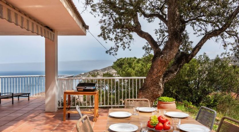 Photo of Rec de Canet