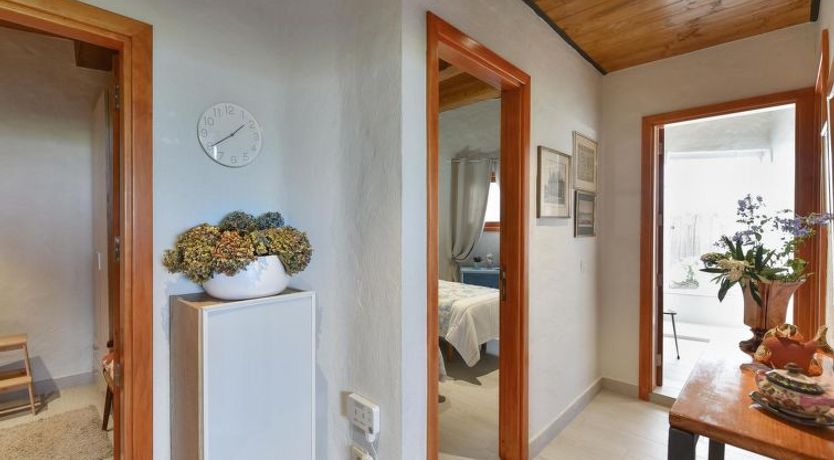 Photo of Arriba Arucas