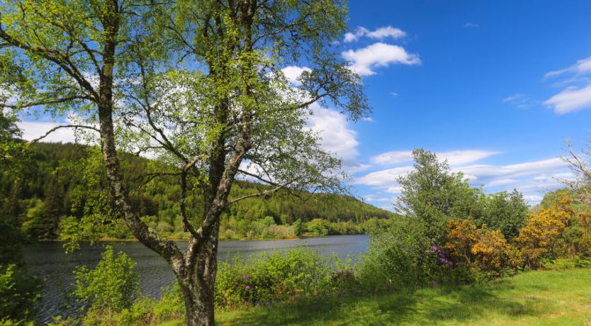 Photo of Ardlui Lodge