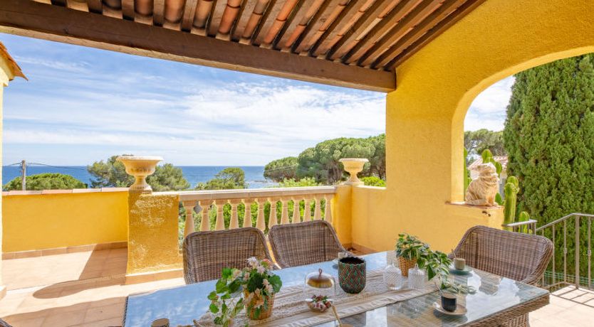 Photo of La Scarlett 2