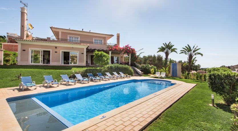 Photo of Amendoeiras