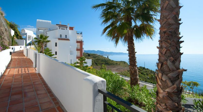 Photo of Lateral View